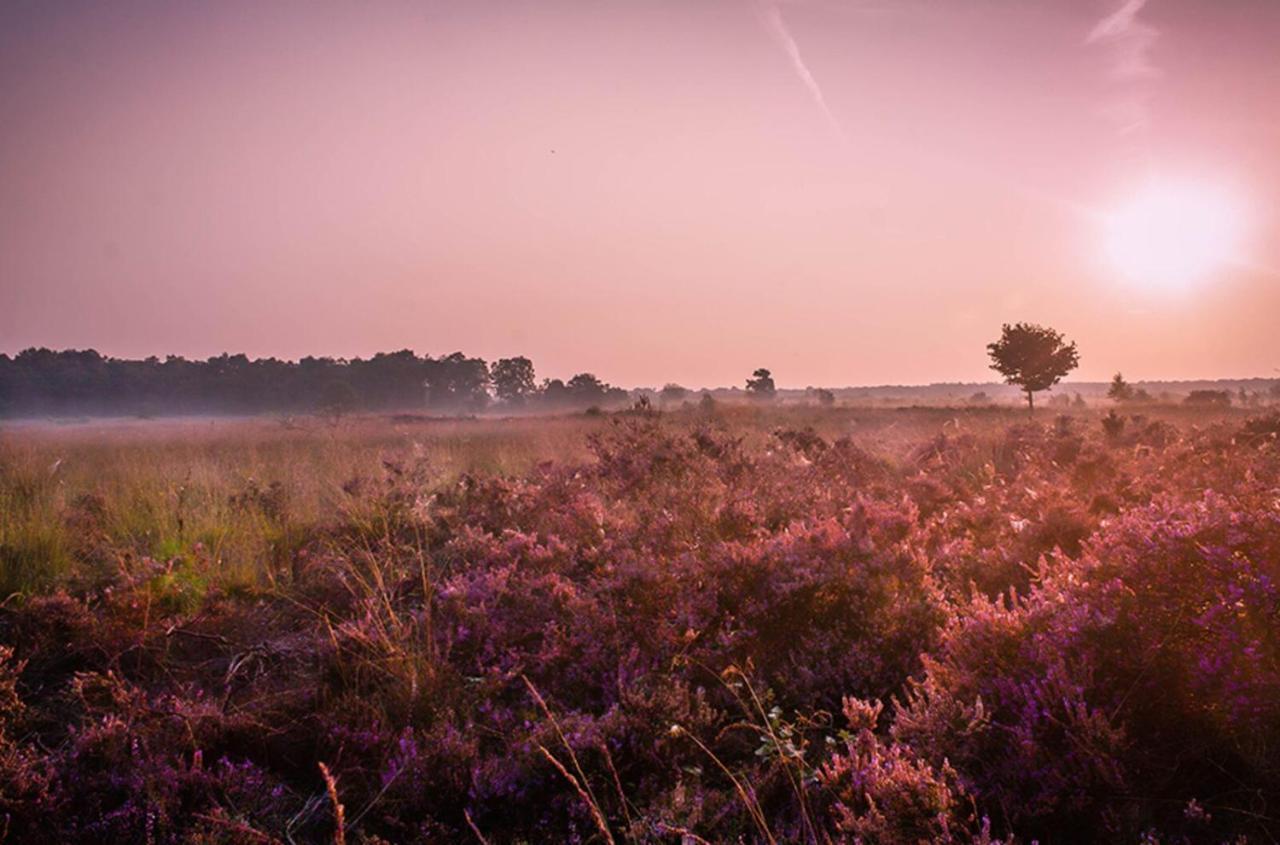 6-persoons Veluwe Villa Voorthuizen Buitenkant foto